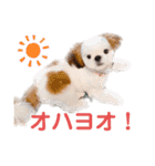 こつぶちゃんダヨ（個別スタンプ：11）