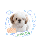 こつぶちゃんダヨ（個別スタンプ：15）
