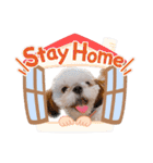 こつぶちゃんダヨ（個別スタンプ：17）