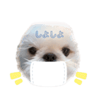 こつぶちゃんダヨ（個別スタンプ：19）