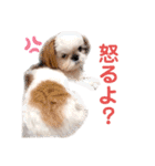 こつぶちゃんダヨ（個別スタンプ：22）