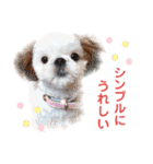 こつぶちゃんダヨ（個別スタンプ：25）