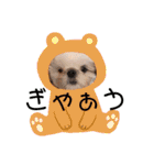 こつぶちゃんダヨ（個別スタンプ：26）