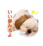こつぶちゃんダヨ（個別スタンプ：28）