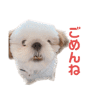 こつぶちゃんダヨ（個別スタンプ：30）