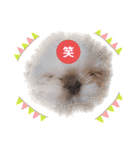 こつぶちゃんダヨ（個別スタンプ：31）