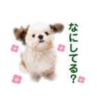 こつぶちゃんダヨ（個別スタンプ：34）