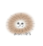 みゃーおというくま（個別スタンプ：10）