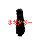 バーニーイラスト（個別スタンプ：7）