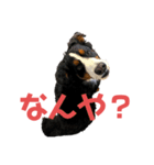 バーニーイラスト（個別スタンプ：9）