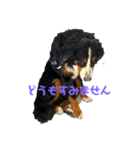 バーニーイラスト（個別スタンプ：13）