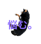 バーニーイラスト（個別スタンプ：14）