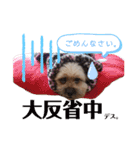 姫・ペタロー・コペタ1（個別スタンプ：1）