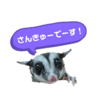 フクロモモンガ♡まにちゃん①（個別スタンプ：9）