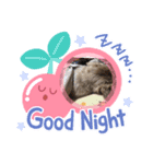 まいあいけんけんけん（個別スタンプ：3）
