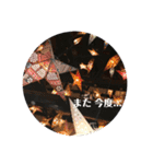 mfm +① *double（個別スタンプ：18）