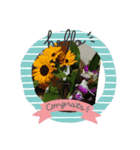 FLOWER特集（個別スタンプ：6）