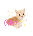 chiko stamp vol.1（個別スタンプ：1）