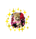 MILK様（個別スタンプ：1）