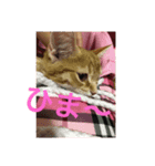 MILK様（個別スタンプ：4）