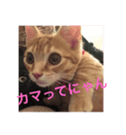 MILK様（個別スタンプ：5）