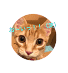 MILK様（個別スタンプ：6）