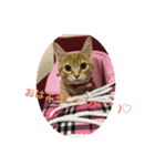 MILK様（個別スタンプ：7）