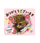 MILK様（個別スタンプ：14）