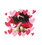 MILK様（個別スタンプ：15）