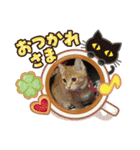 MILK様（個別スタンプ：16）