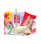 はちのいる生活（個別スタンプ：5）