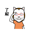 眼鏡猫 0504（個別スタンプ：8）