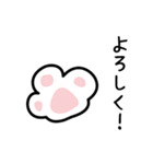 眼鏡猫 0504（個別スタンプ：11）