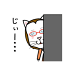 眼鏡猫 0504（個別スタンプ：16）