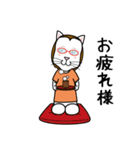 眼鏡猫 0504（個別スタンプ：19）
