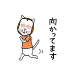 眼鏡猫 0504（個別スタンプ：23）