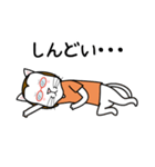 眼鏡猫 0504（個別スタンプ：29）