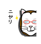 眼鏡猫 0504（個別スタンプ：37）