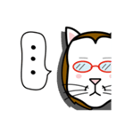 眼鏡猫 0504（個別スタンプ：40）