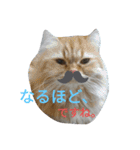 necoKKK ちゃんねる（個別スタンプ：1）