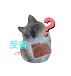 necoKKK ちゃんねる（個別スタンプ：2）