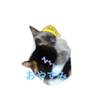 necoKKK ちゃんねる（個別スタンプ：4）