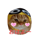 necoKKK ちゃんねる（個別スタンプ：5）
