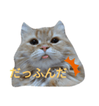 necoKKK ちゃんねる（個別スタンプ：8）