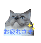 necoKKK ちゃんねる（個別スタンプ：10）