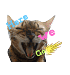 necoKKK ちゃんねる（個別スタンプ：11）