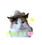 necoKKK ちゃんねる（個別スタンプ：15）