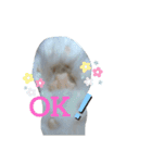 necoKKK ちゃんねる（個別スタンプ：16）