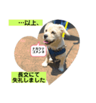 ペキチワぶんた1（個別スタンプ：7）