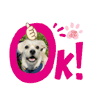 ペキチワぶんた1（個別スタンプ：9）